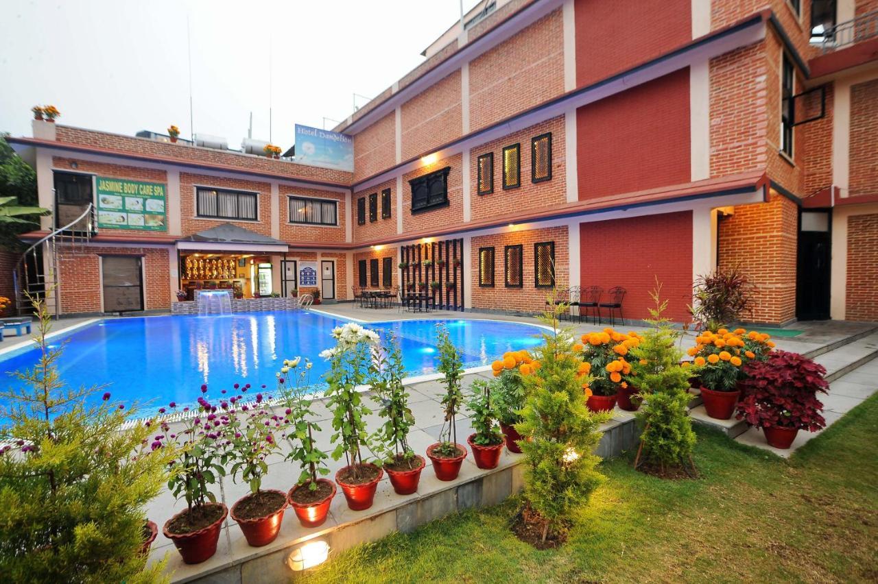 Hotel Dandelion Pokhara Exterior photo